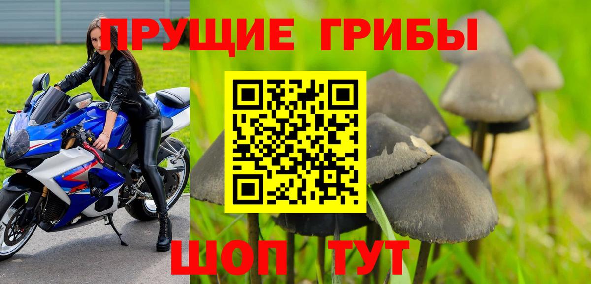 Псилоцибиновые грибы Psilocybine cubensis  Вход с VPN  Псилоцибиновые грибы Magic Shrooms  Надым 