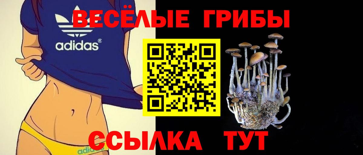 Галлюциногенные грибы ЛСД Надым